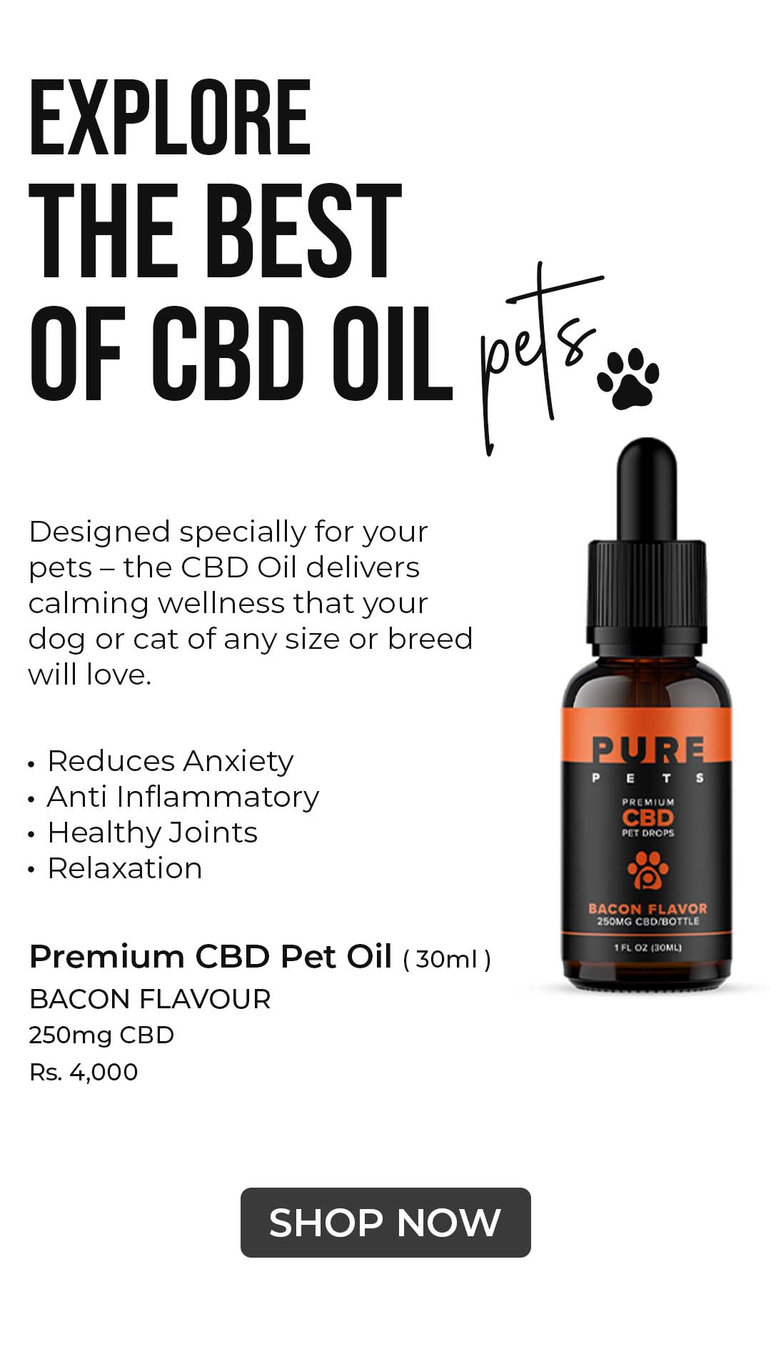 cbd pet oil