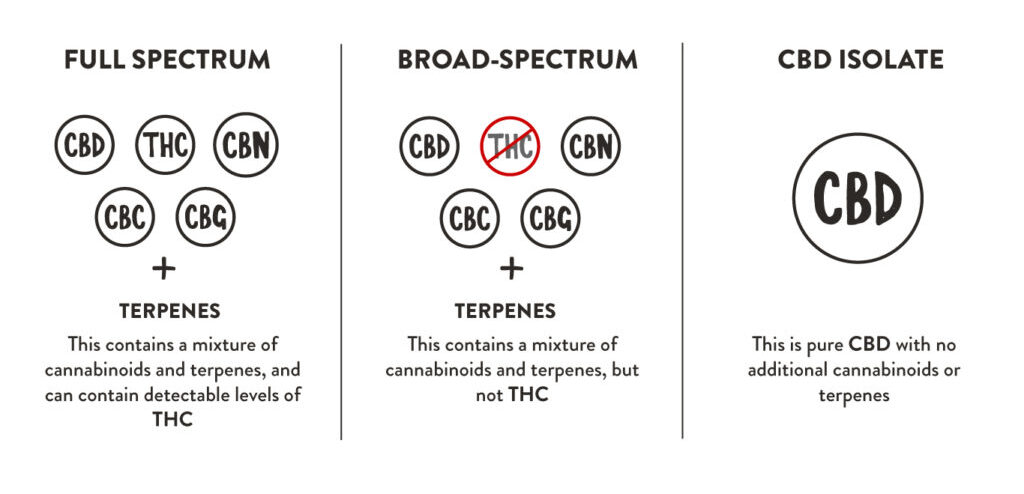 different-types-of-cbd-extract-01-1024x573